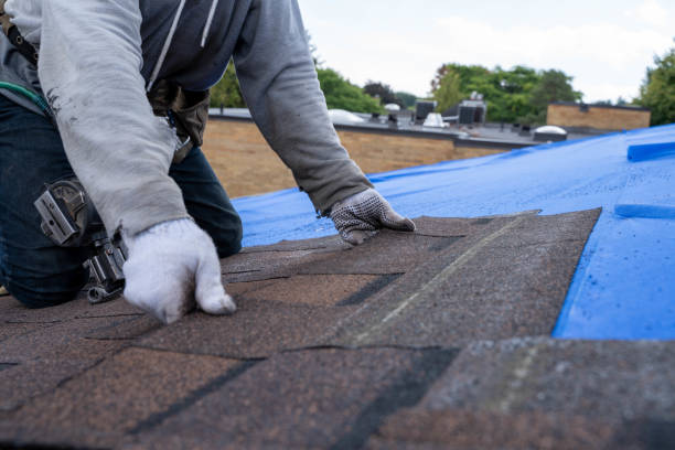 Gutter Installation and Roofing in Carolina Forest, SC